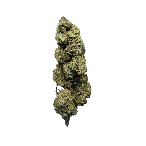 AMNESIA GREENHOUSE – FLEURS CBD